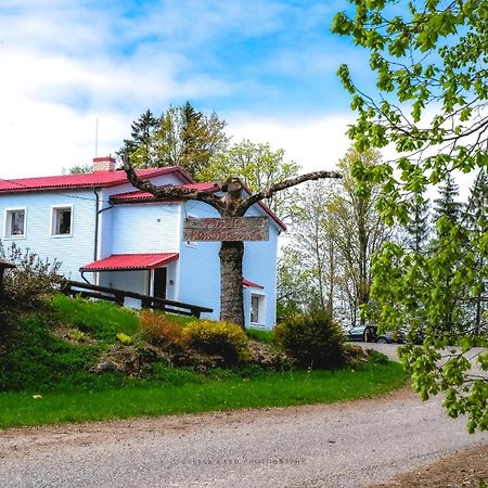 Pinska Guesthouse Exteriér fotografie